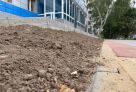 Газон выше тротуара: власти Сургута прокомментировали благоустройство на Ленинградской