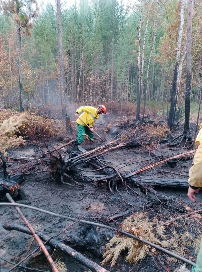 В Югре впервые за два месяца нет ни одного лесного пожара