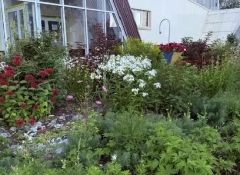Сургутские власти призывают горожан горожан выбрать самую зеленую школу или детский сад