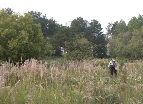 В 30-м микрорайоне Сургута началась подготовка к созданию нового сквера