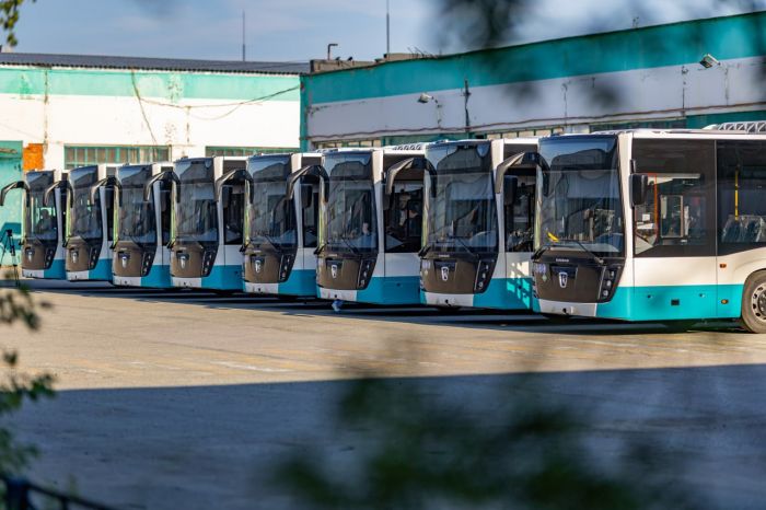 С начала зимы в Сургуте будут запущены четыре новых автобусных маршрута к «Сити Моллу»