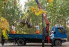 В парке «За Саймой» в Сургуте меценат установил бронзовую Бабу-Ягу