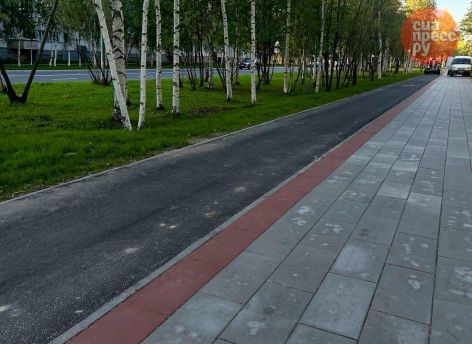 ​Власти Сургута хотят объединить все велодорожки в единый маршрут