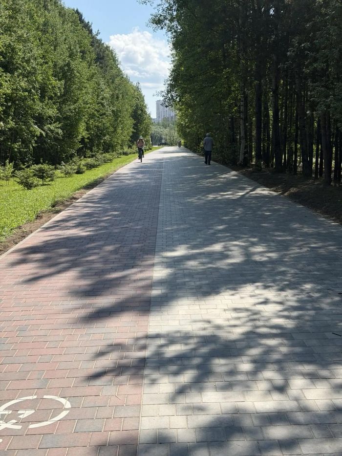 Власти Сургута разделят пешеходные и велосипедные потоки в парке «За Саймой»