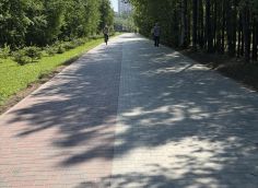 Власти Сургута разделят пешеходные и велосипедные потоки в парке «За Саймой»