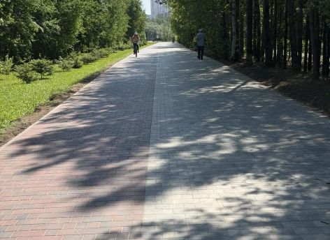 Власти Сургута разделят пешеходные и велосипедные потоки в парке «За Саймой»