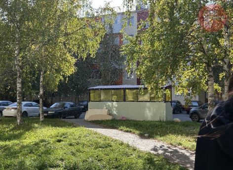 ​Теплая осень разбудила мошкару в Сургуте
