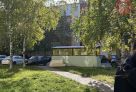 ​Теплая осень разбудила мошкару в Сургуте