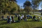 Рябина, черемуха и сирень: в Сургуте высадили более 150 деревьев