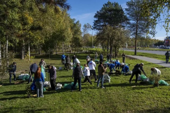 В Сургуте улицы освобождают от ивняка, чтобы посадить более стойкие кустарники и яблони