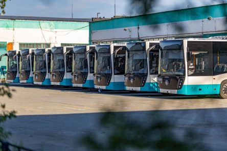 ​Непонятно, как СПОПАТ сможет выжить после потери половины своего объема перевозок