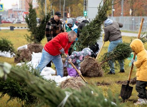 В сургутском Сквере юных инженеров на Первопроходцев пройдет высадка деревьев