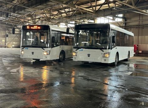 ​Сфера перевозок уплывает из рук города, и все молчат