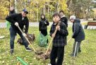 Около 200 сургутян вышли на очередной субботник по высадке деревьев
