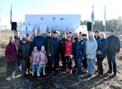 Тюменцы высадили 60 тысяч сосен на пострадавшем от пожаров участке