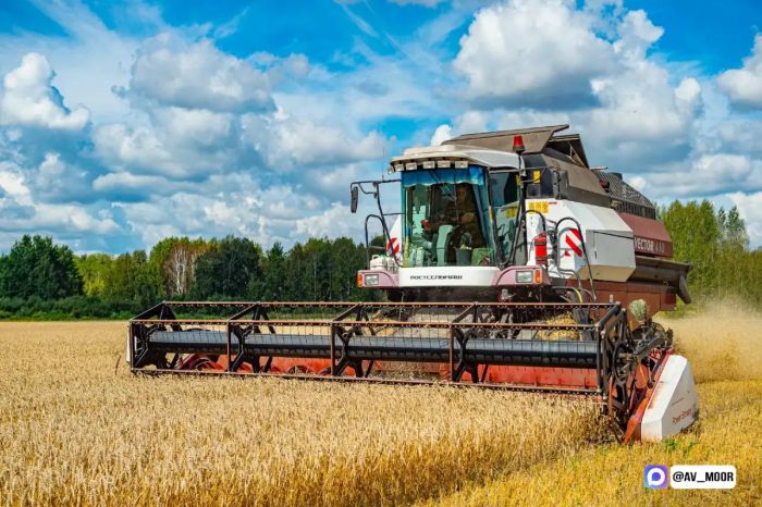 Тюменская область планирует удвоить экспорт продукции АПК к 2030 году
