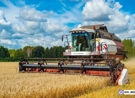 Тюменская область планирует удвоить экспорт продукции АПК к 2030 году