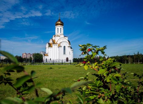 В Сургуте в 2027 году планируют косить газоны на 27 территориях