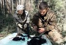 Поисковики Тюменской области освоят ДНК-идентификацию погибших бойцов