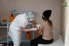 Роспотребнадзор призвал югорчан уже сейчас начать вакцинацию от клещевого энцефалита