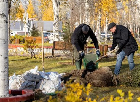 Перед администрацией Сургута теперь растет манчжурский орех