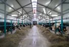 Сельхозпредприятия Югры резко нарастили производство молока и яиц