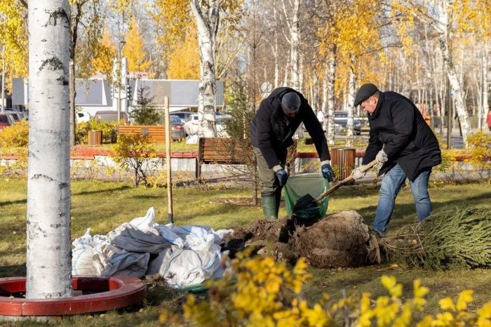 За два месяца сургутяне высадили на 38 городских территориях более тысячи деревьев и кустарников